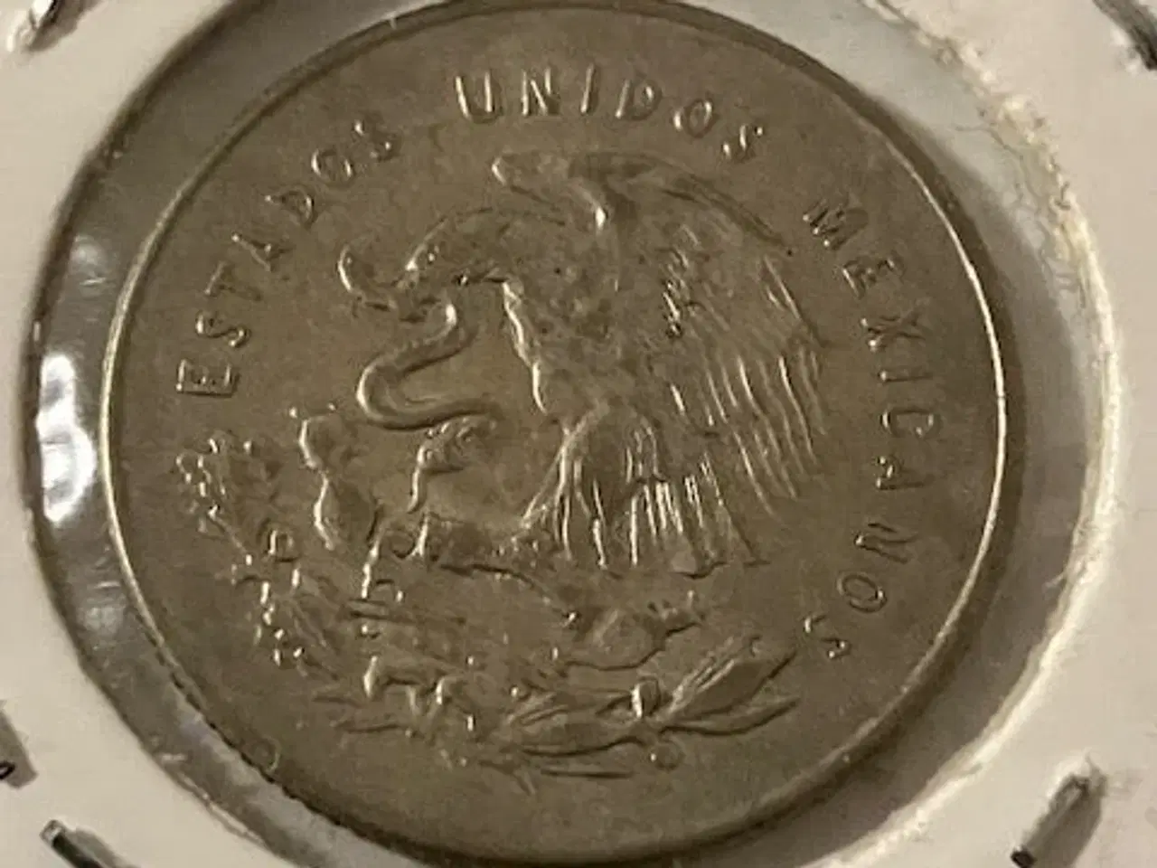 Billede 2 - 25 Centavos Mexico 1950