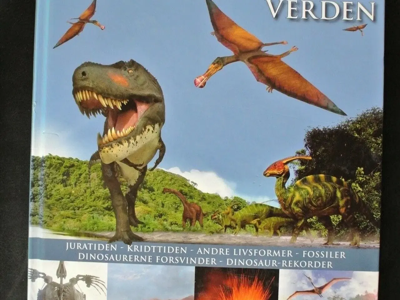 Billede 1 - i dinosaurernes verden, af caroline bingham, emne: