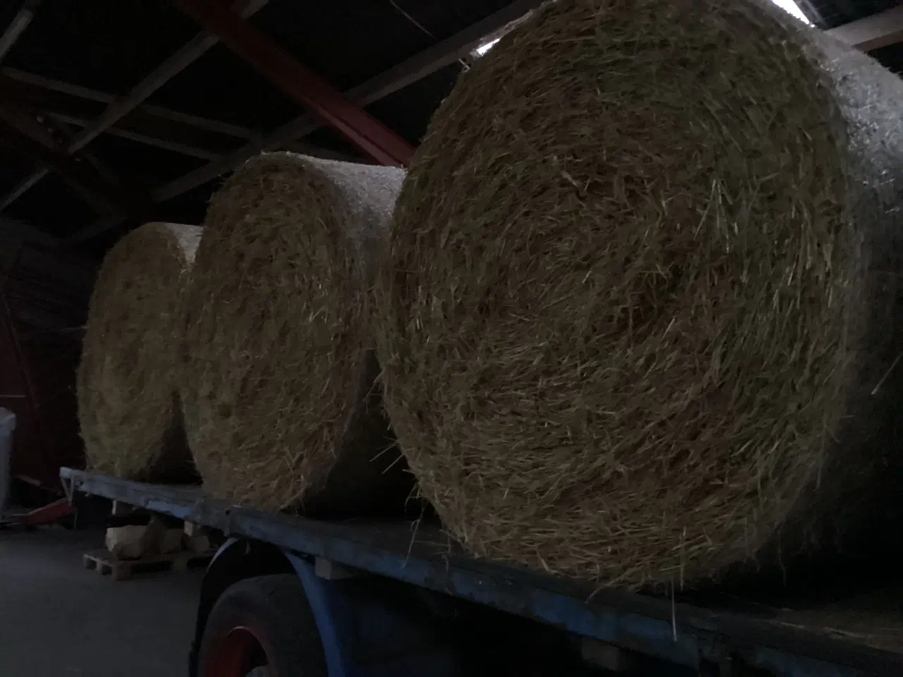 Billede 1 - Byghalm