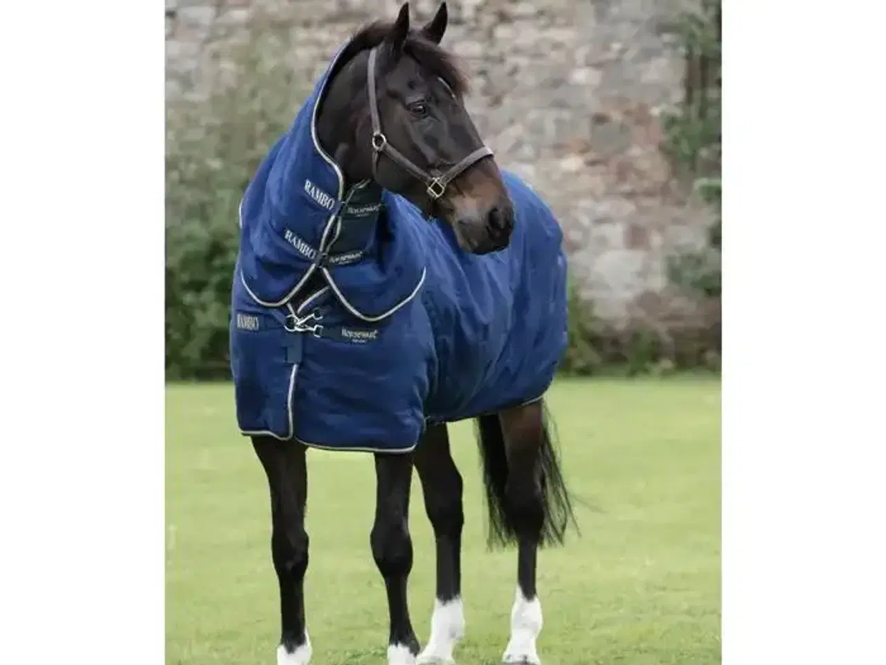 Billede 1 - Rambo stald dækken med hals 200g 145