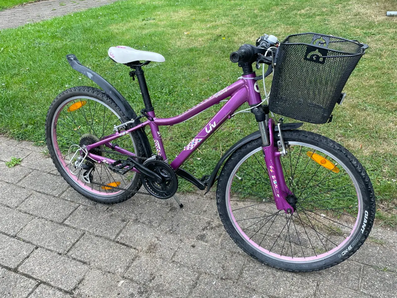 Billede 2 - mountainbike.liv 24 tommer.     aluminum ,21gear.