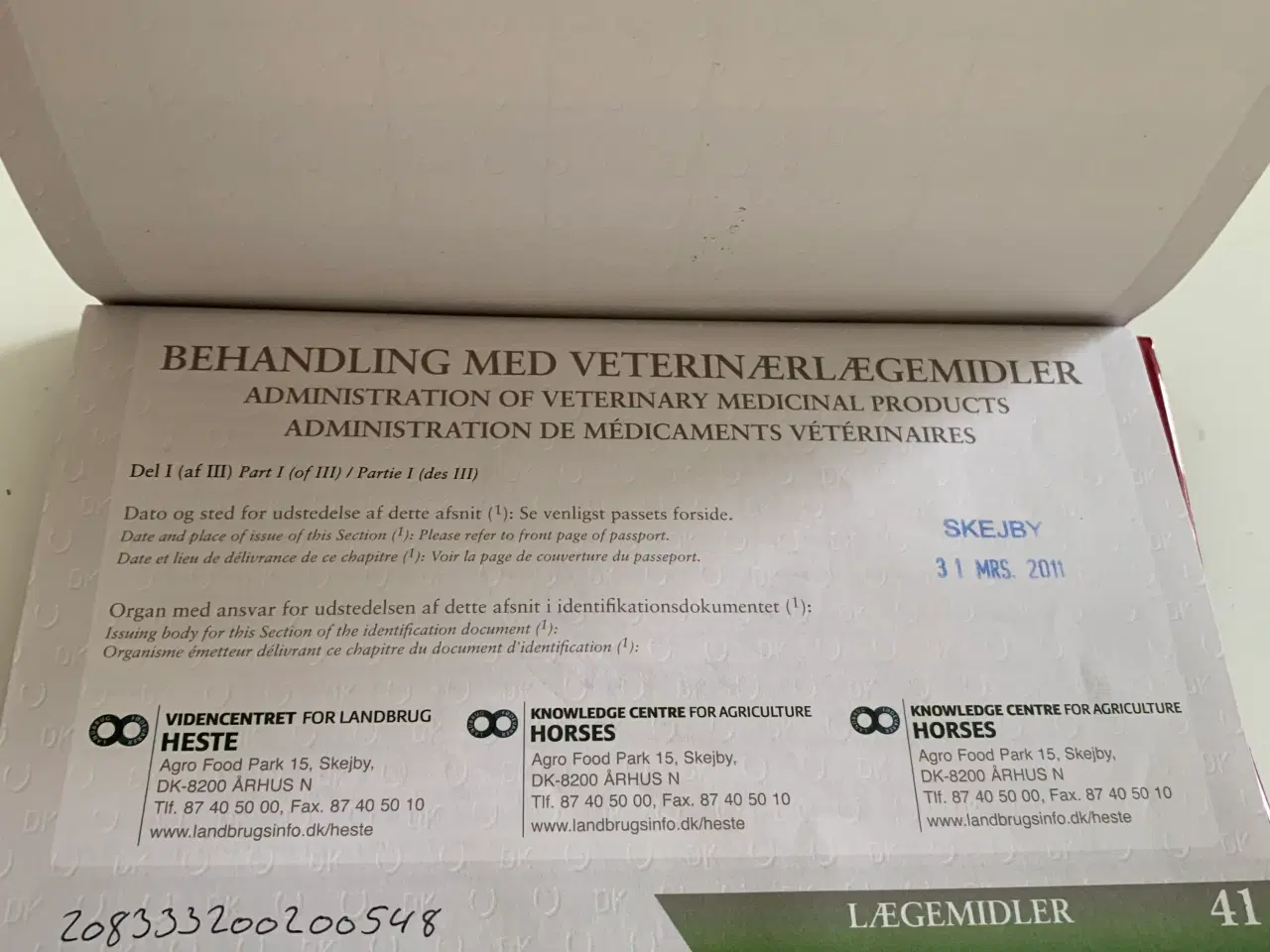 Billede 7 - Skovturs / hygge hest