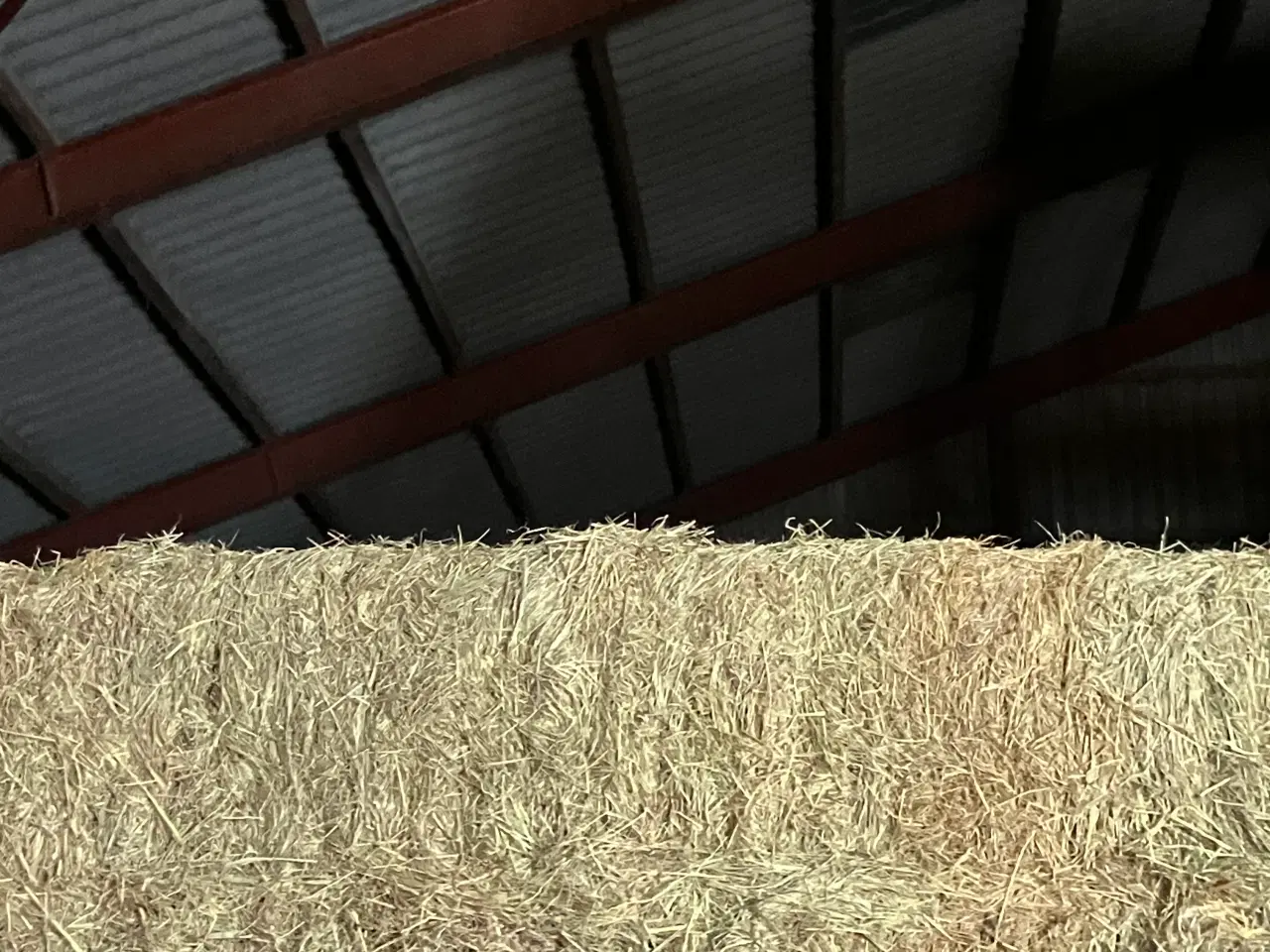 Billede 1 - Super enghø i minibig sælges pris 300 kr