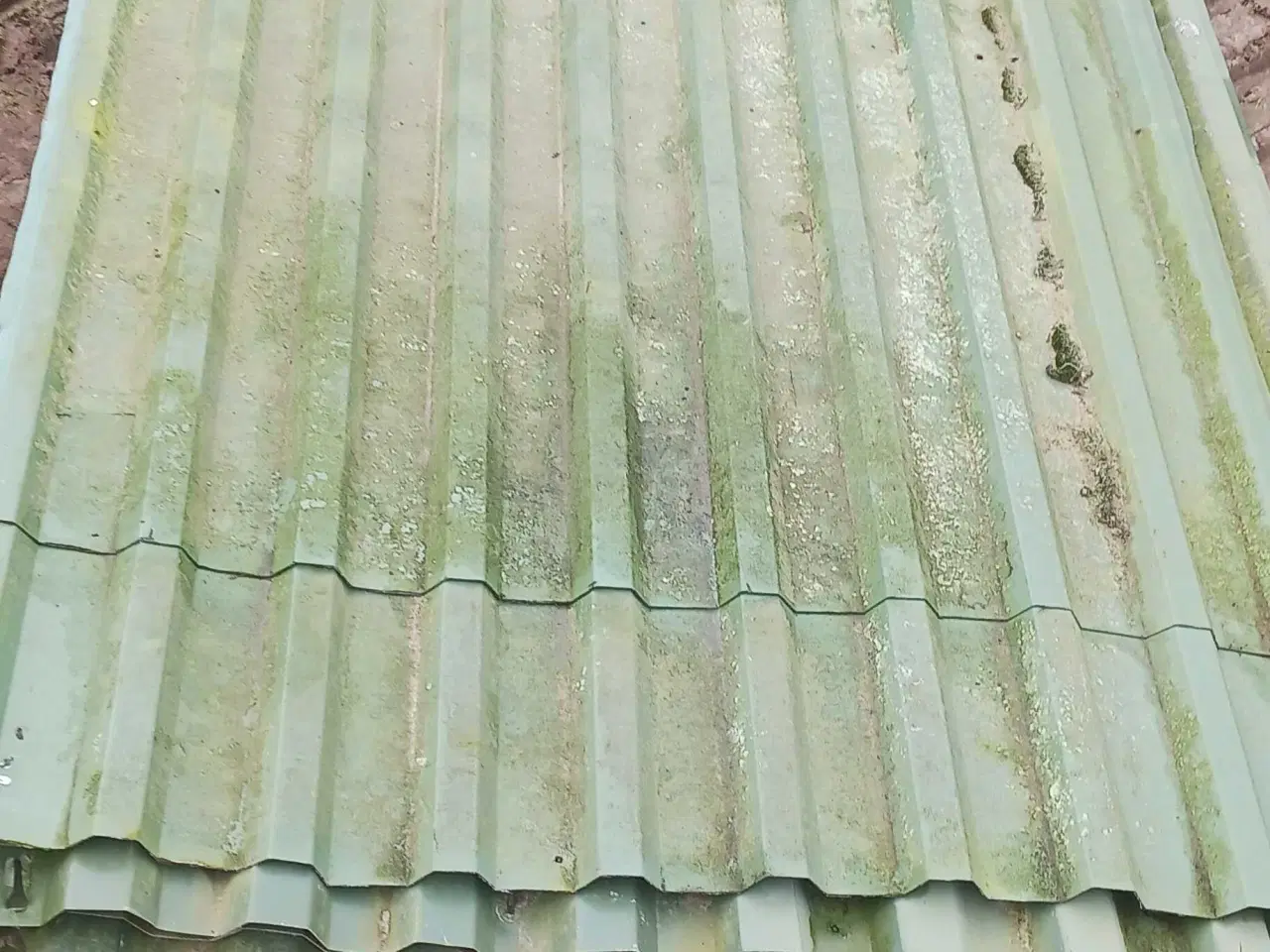 Billede 8 - Opdræts tilbehør til fjerkræ