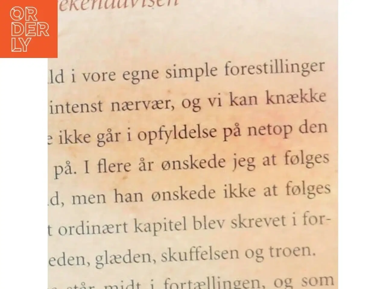 Billede 6 - At leve med Kierkegaard af Sørine Gotfredsen (Bog)
