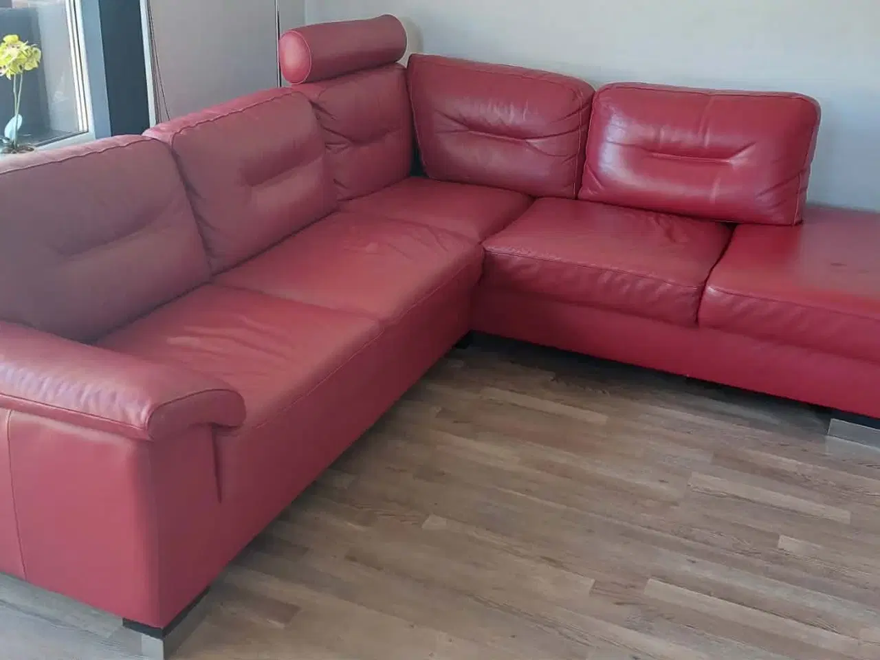 Billede 1 - Sofa i rød læder 