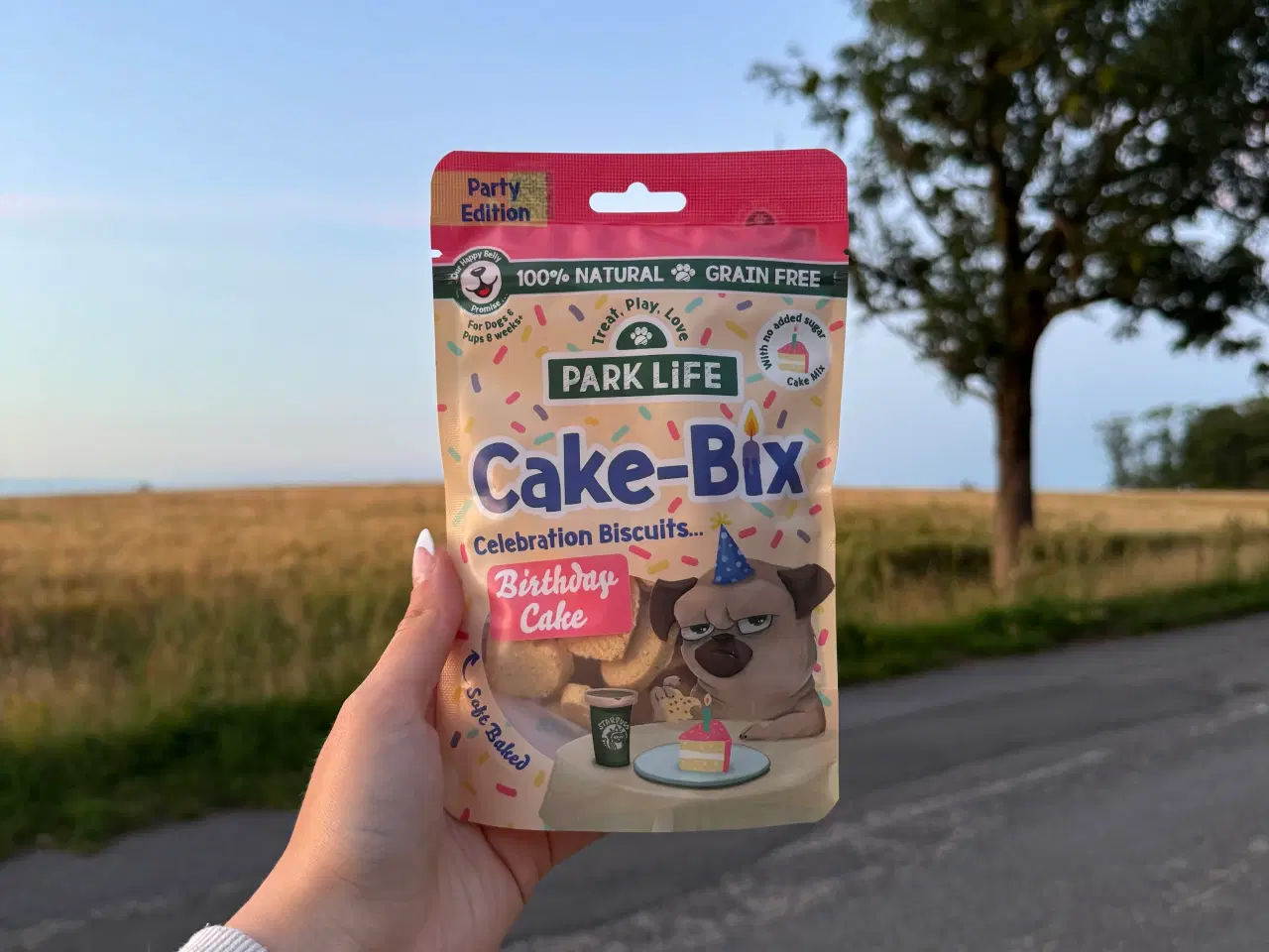 Billede 1 - Hundegodbidder - fødselsdag