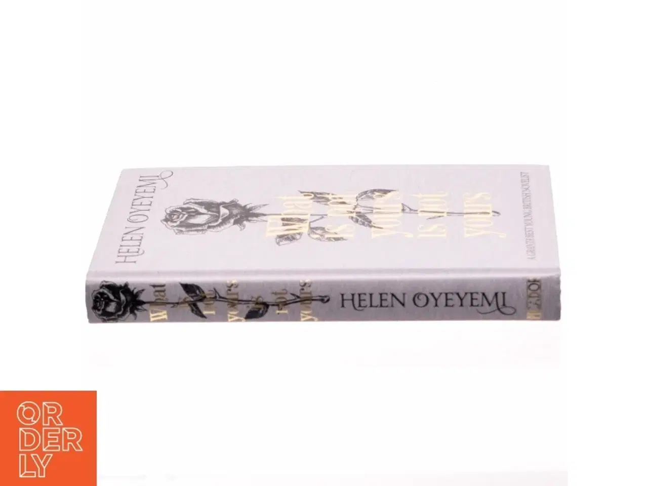 Billede 4 - What is not yours is not yours af Helen Oyeyemi (Bog)