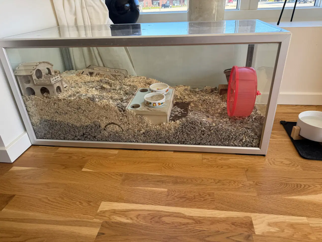 Billede 10 - Dværghamster plus tilbehør sælges