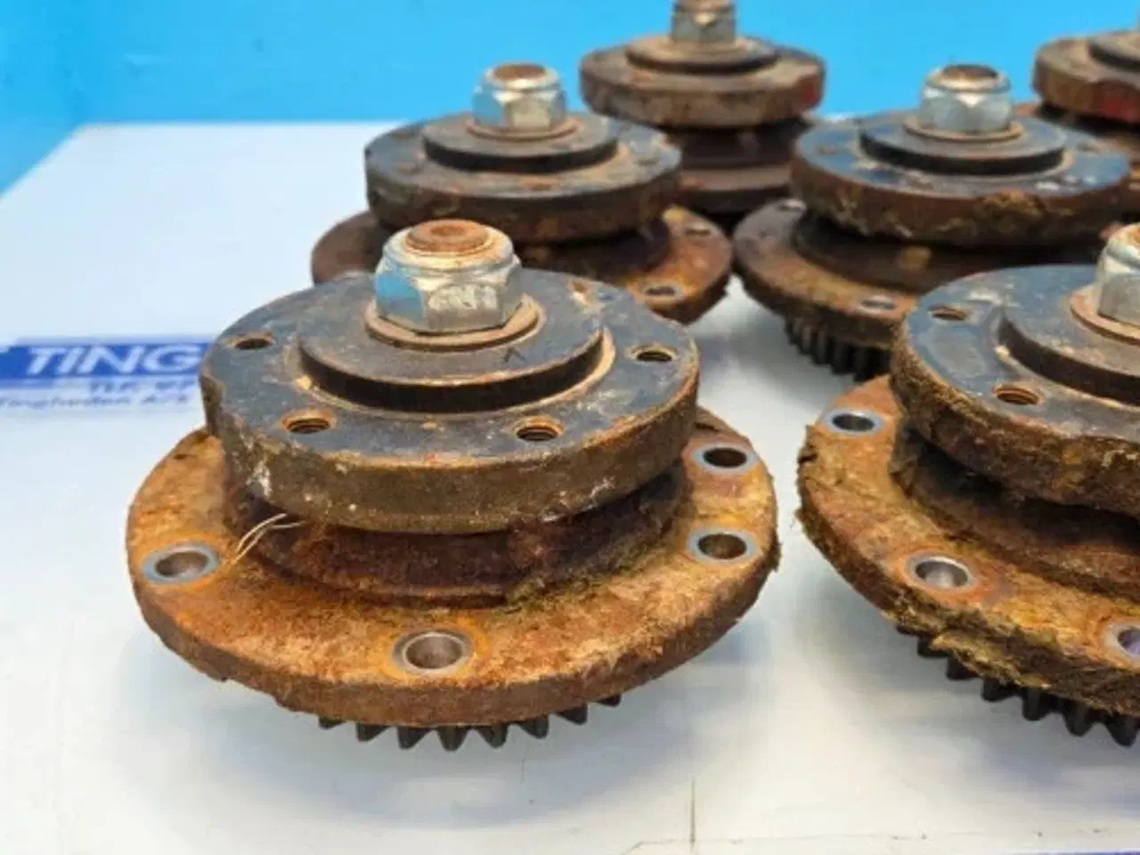 Billede 12 - GXT 13005   Lejehus  3085705X   8STK