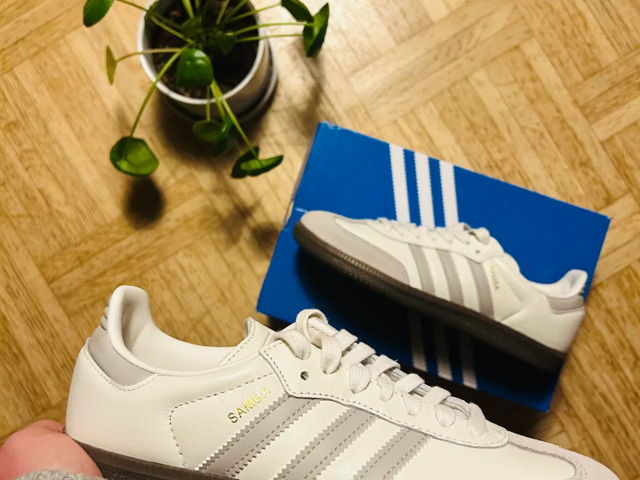 Billede 2 - Adidas Samba OG Str 38 2/3