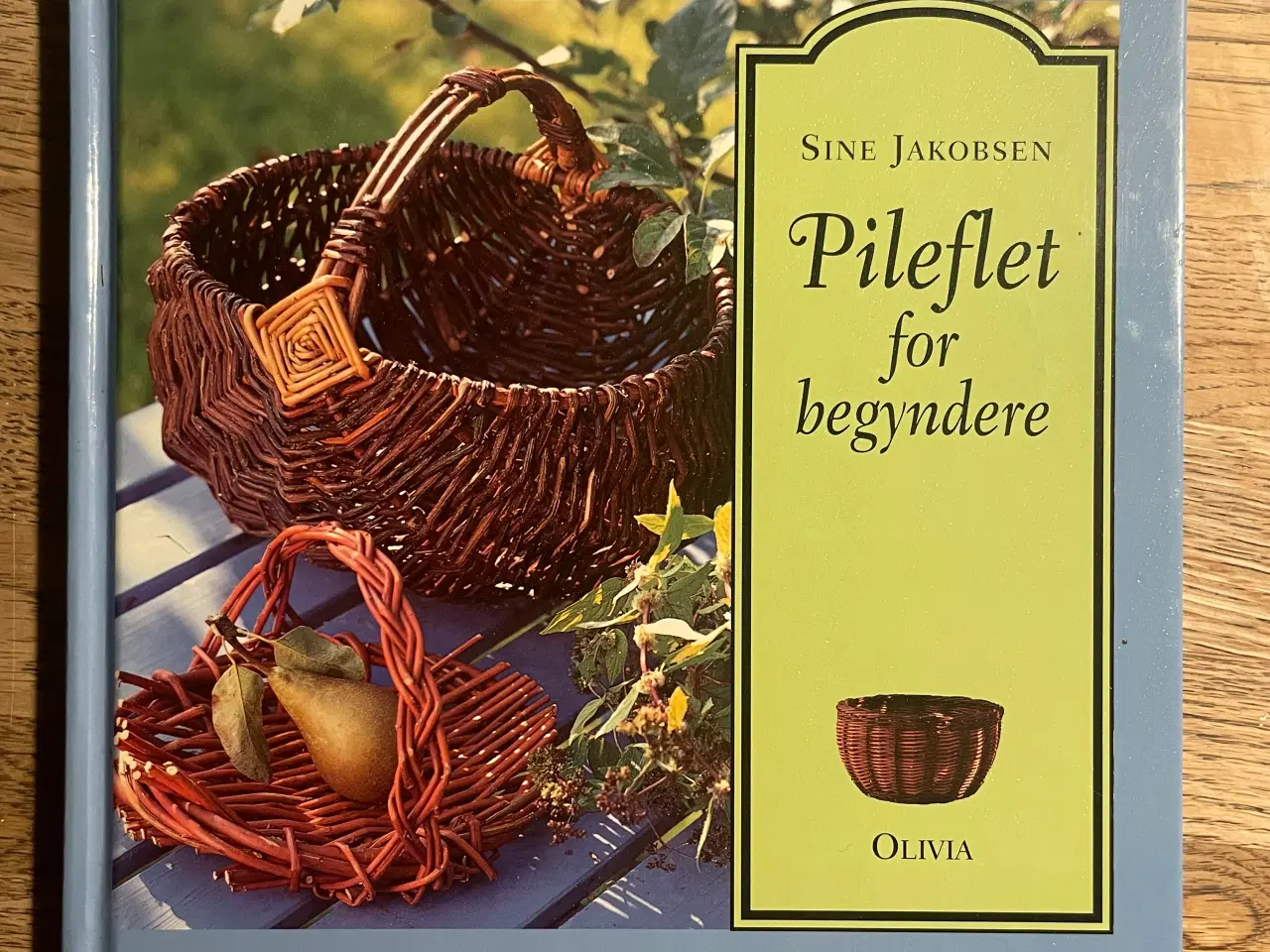 Billede 1 - Pileflet for begyndere, Sine Jakobsen