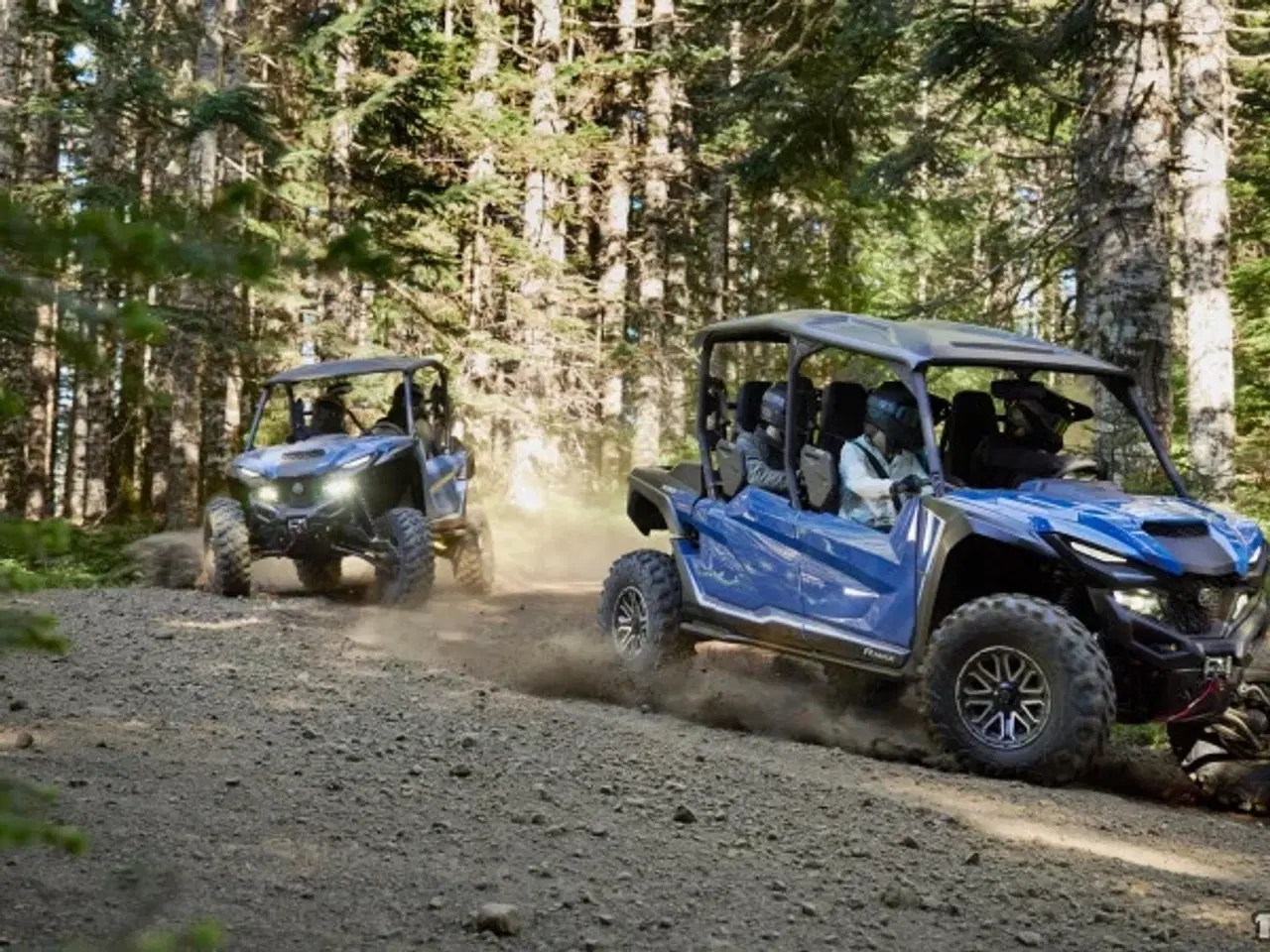 Billede 7 - Yamaha Wolverine RMAX4 1000 LE