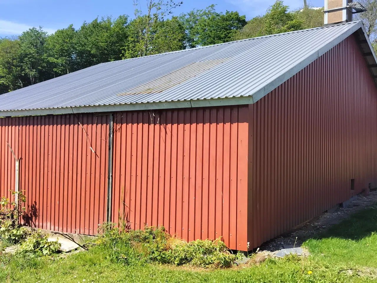 Billede 4 - Hal/sku gives væk