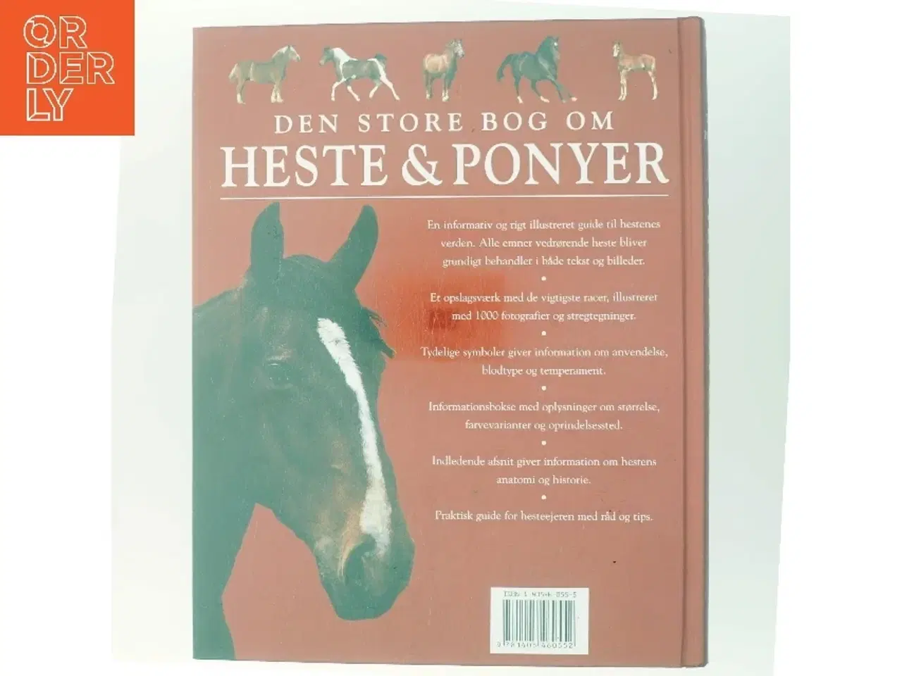 Billede 3 - Den store bog om heste & ponyer af Tamsin Pickeral (Bog)