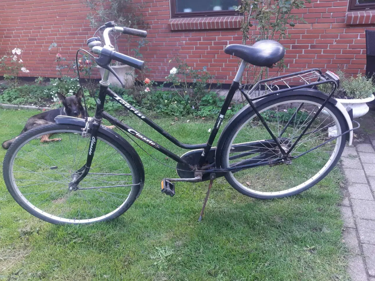 Billede 1 - Damecykel Turist lav indstigning
