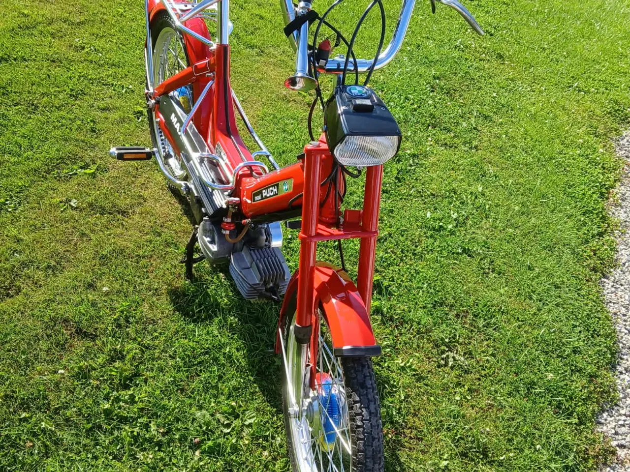 Billede 6 - Puch Maxi P flot