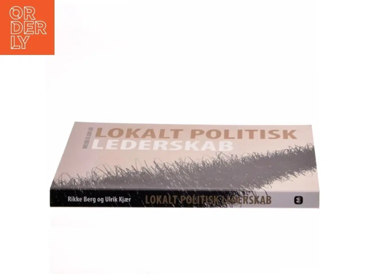 Billede 2 - Lokalt politisk lederskab (Bog)
