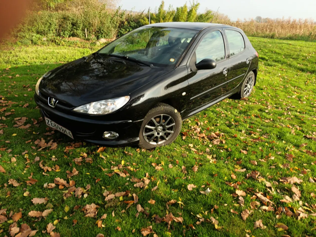 Billede 6 - Peugeot 206