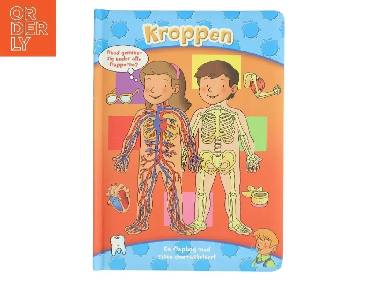 Billede 1 - Kroppen (Bog)