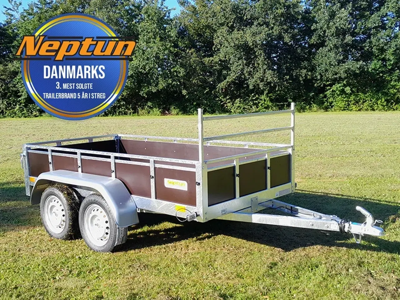 Billede 1 - Neptun Trailwood 253-2 GN081