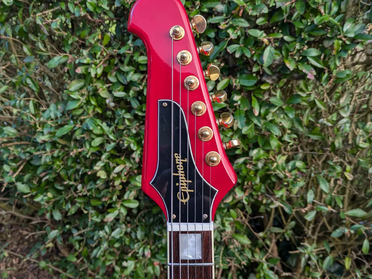 Billede 5 - Epiphone Firebird VII 63'