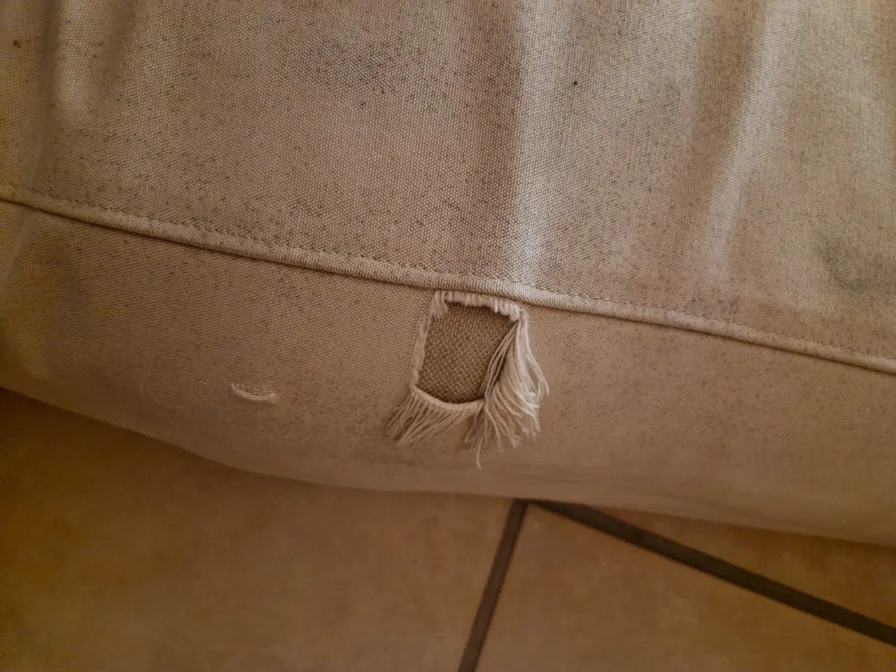 Billede 5 - Gymnastikhest