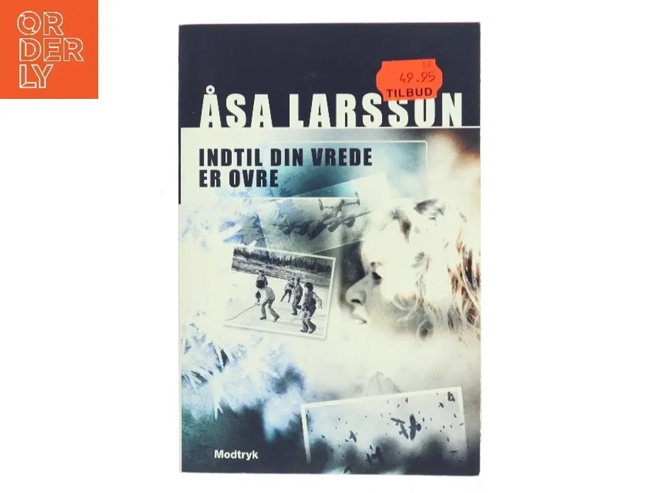 Billede 1 - Indtil din vrede er ovre af Åsa Larsson (Bog)