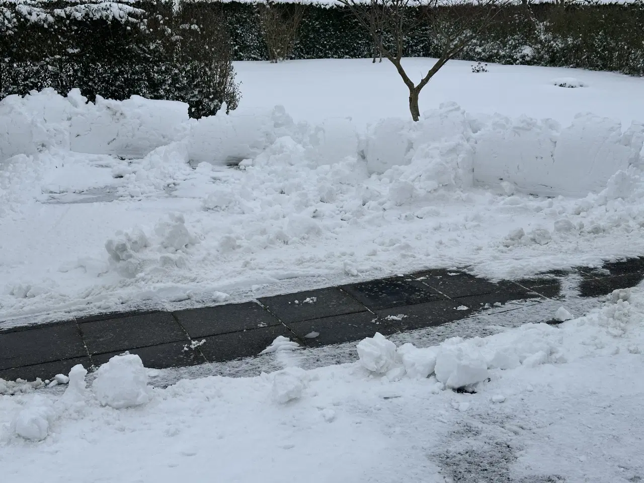 Billede 6 - Havetraktor Husqvarna R422 TS AWD / Dozerblad