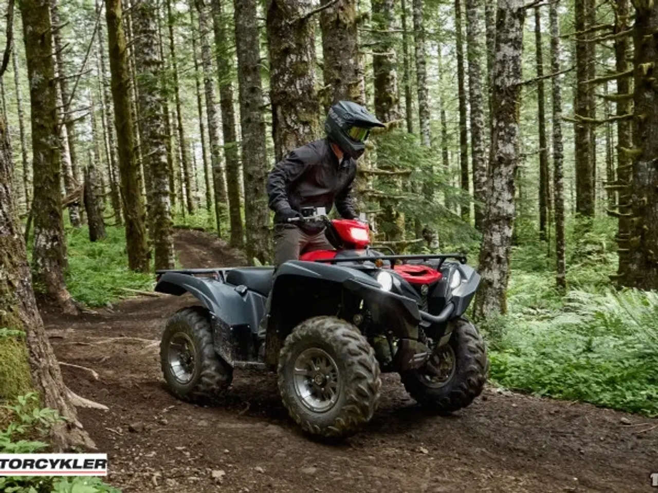 Billede 4 - Yamaha Grizzly 700 EPS Traktor
