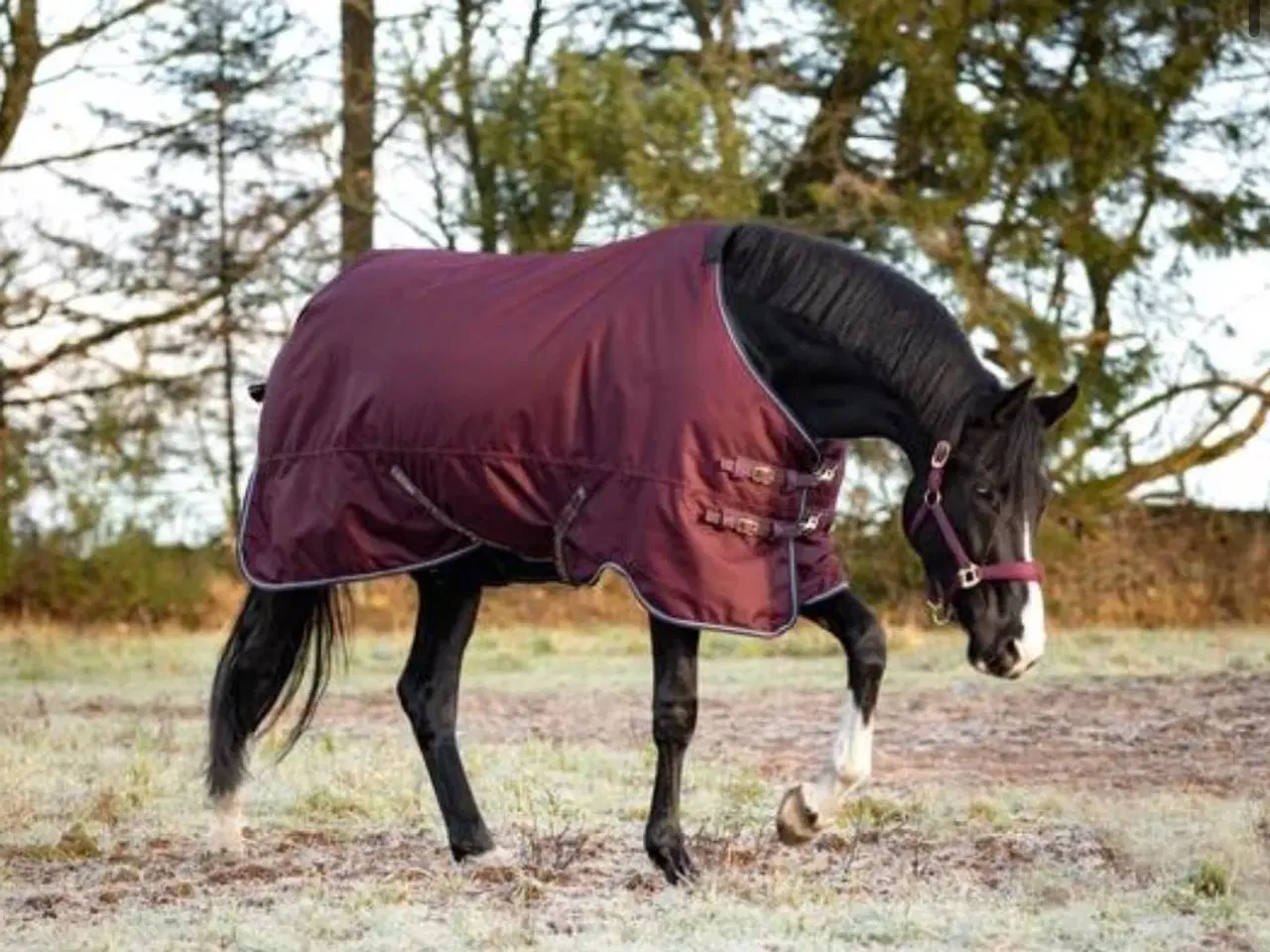 Billede 3 - Slidstærkt udedækken str 125 200g