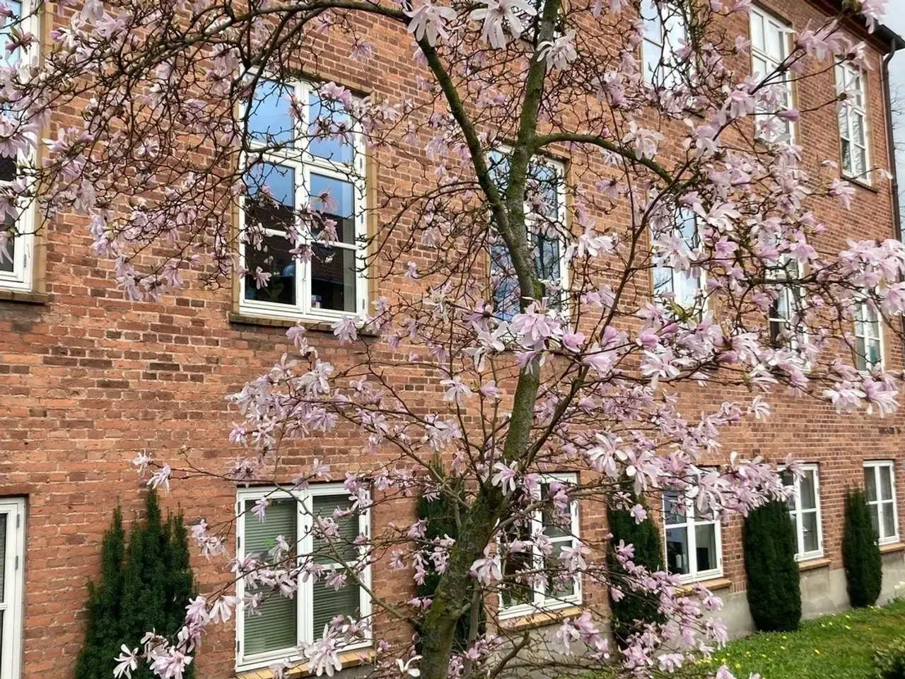 Billede 6 - Søgade 16. Ringsted. Lækkert. Centralt