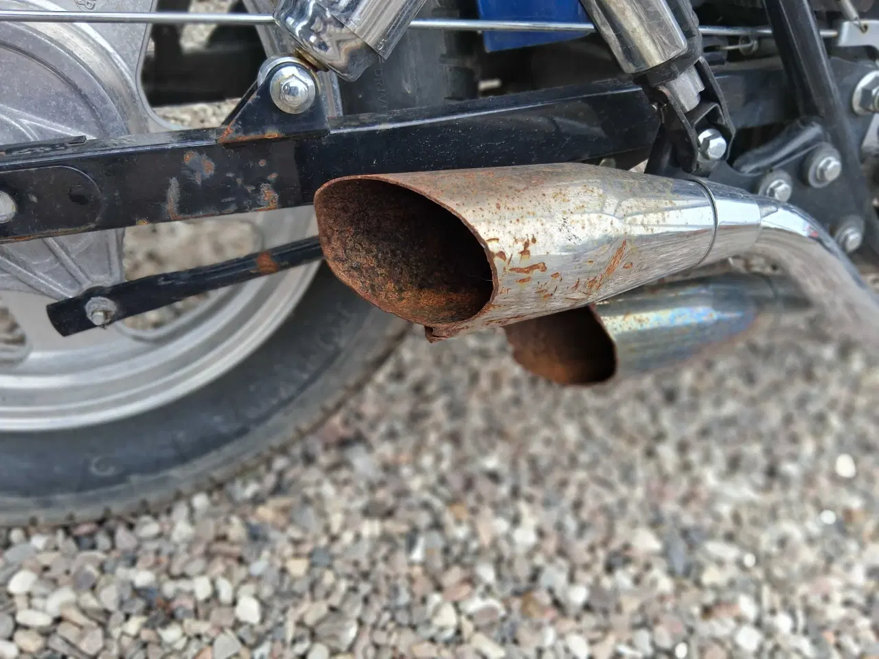 Billede 7 - Raptor regal, dadyw