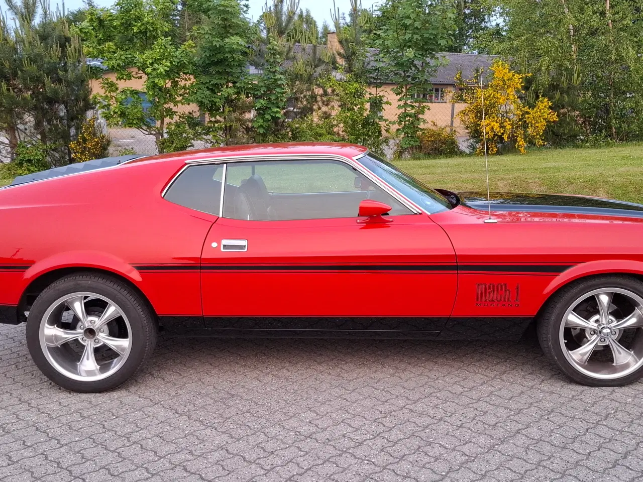 Billede 4 - 1973 Ford Mustang