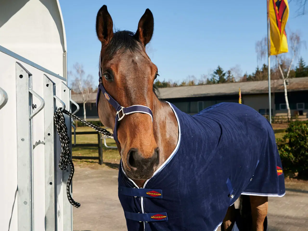 Billede 3 - Böckmann Champion Esprit 25 med udstyrspakke