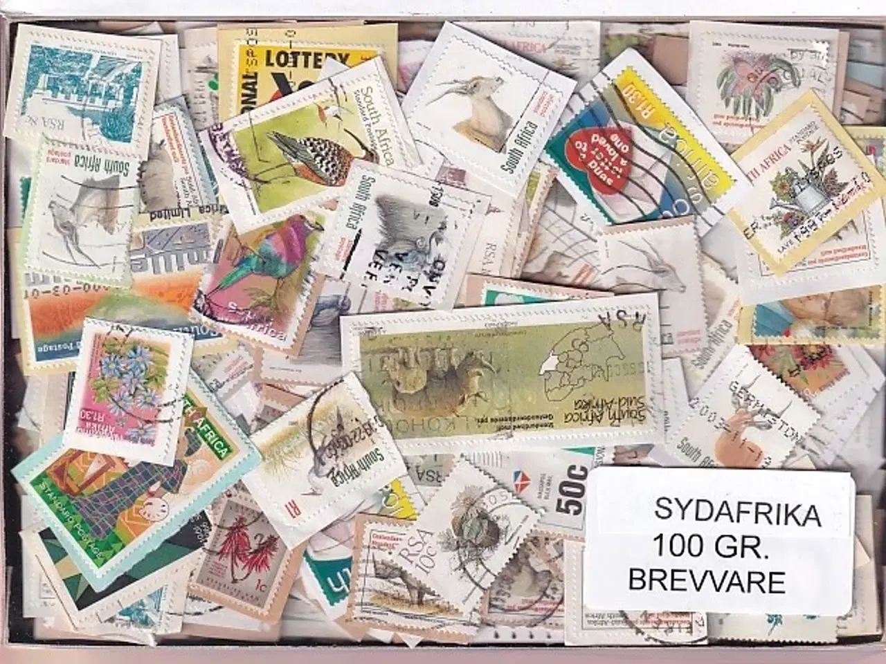 Billede 1 - Sydafrika 100 g. Brevvare - Hjemkommet 22 - 4 - 2023