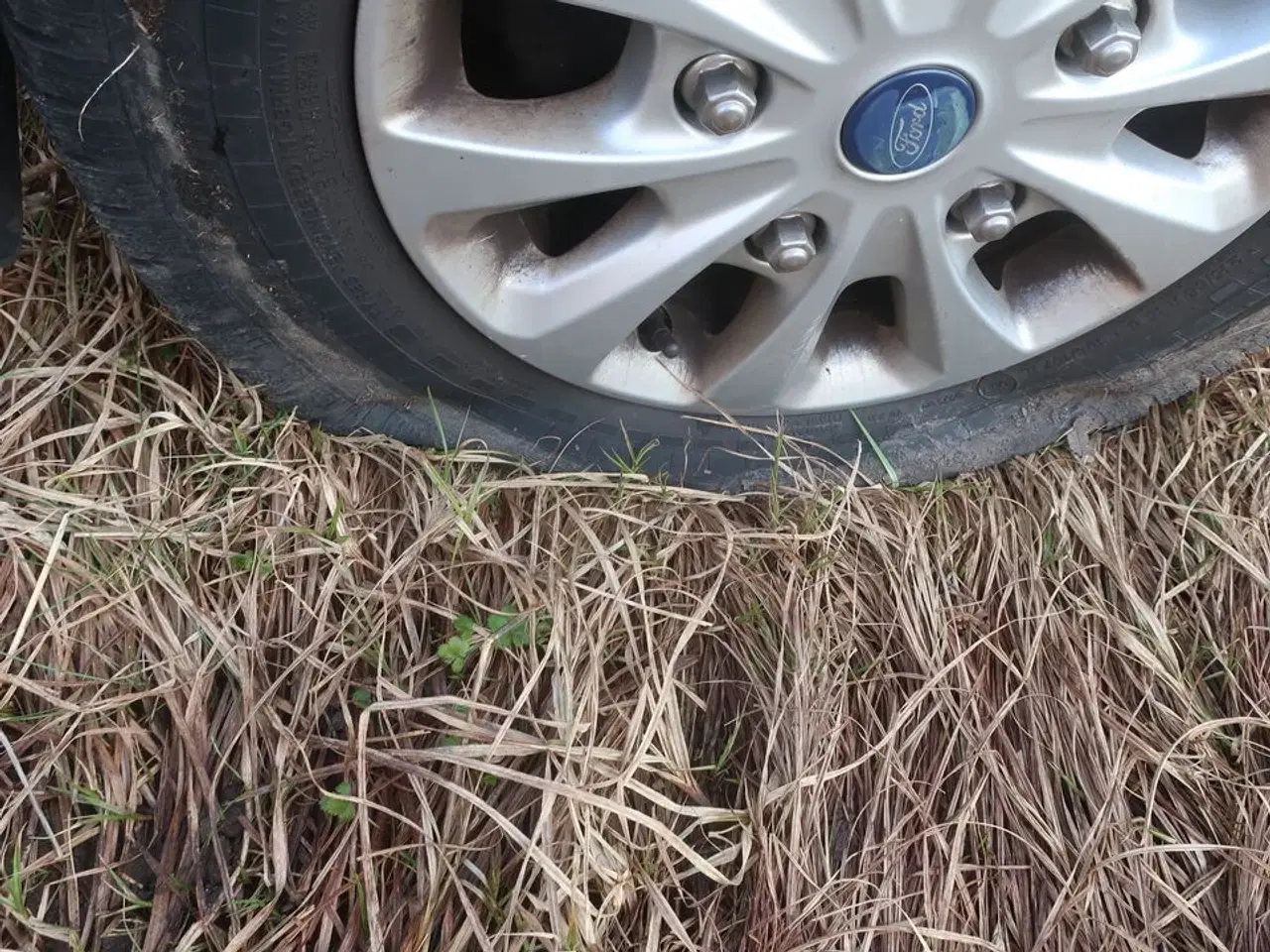 Billede 38 - Varebil FORD TRANSIT CUSTOM VAN 2.0 TDCI - FWD (170 HK) med indhold