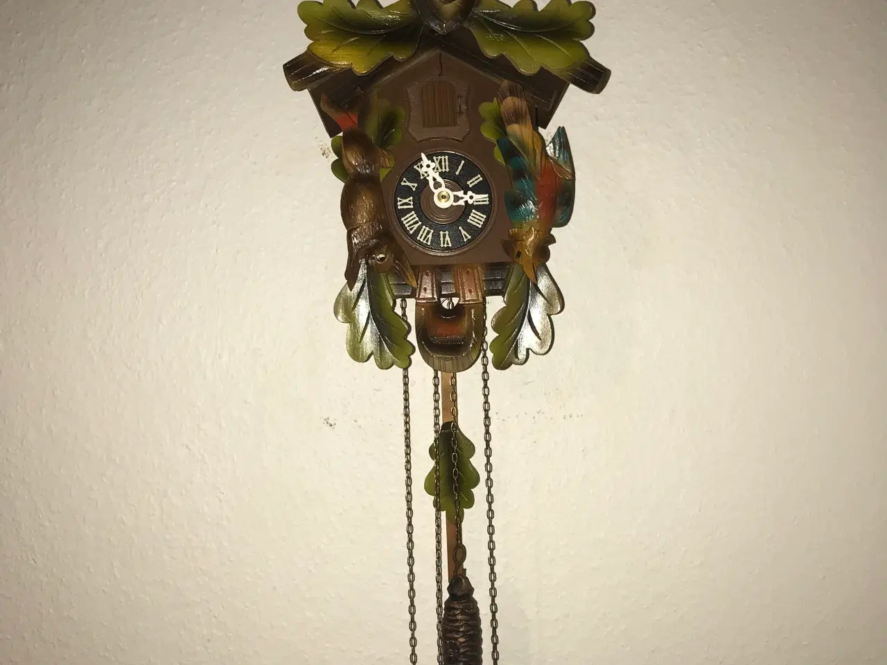 Billede 1 - Pænt og velholdt jagt kukur