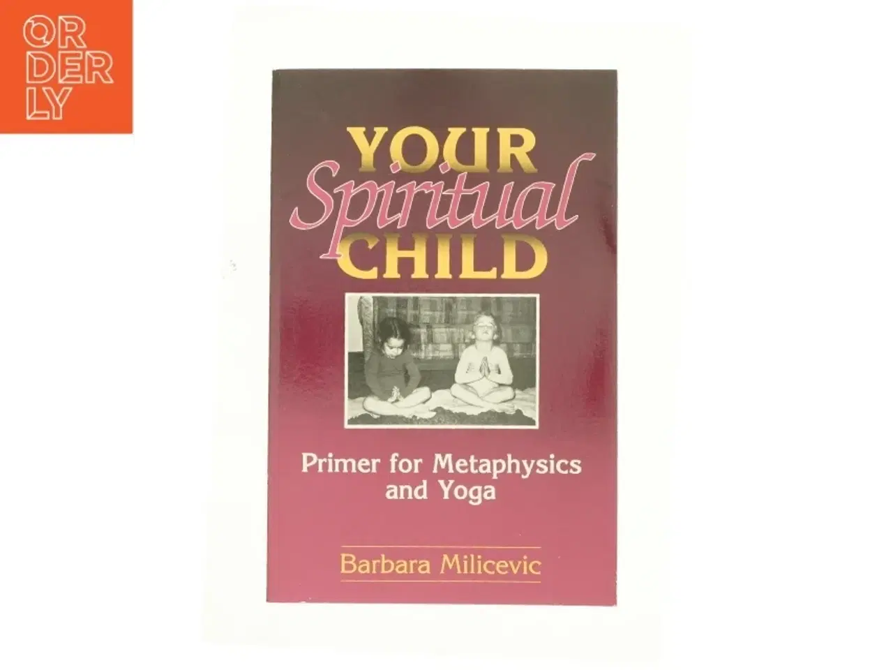 Billede 1 - Your Spiritual Child : Primer for Metaphysics and Yoga af Barbara Milicevic (Bog)