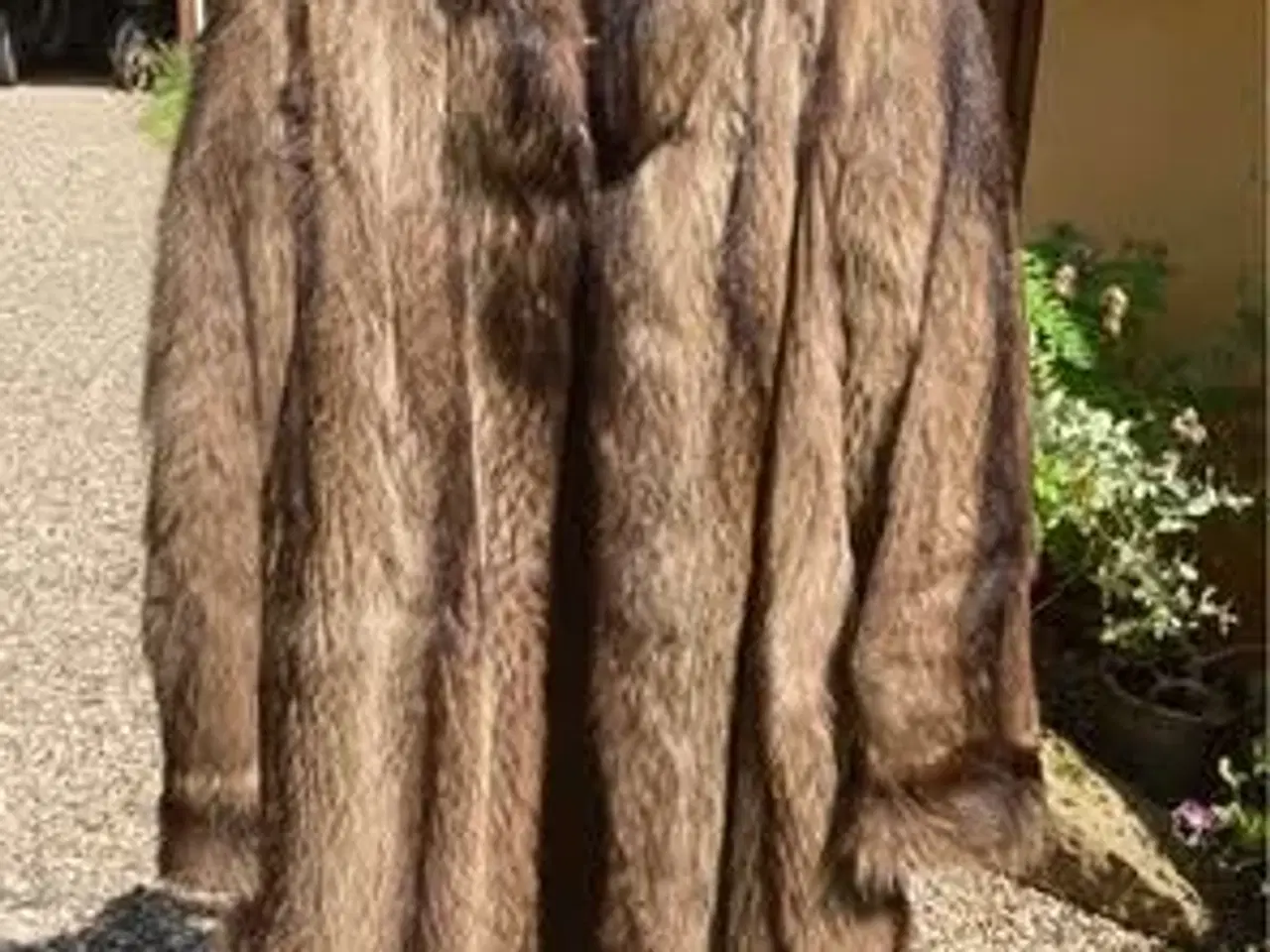 Billede 1 - Pels i vaskebjørn