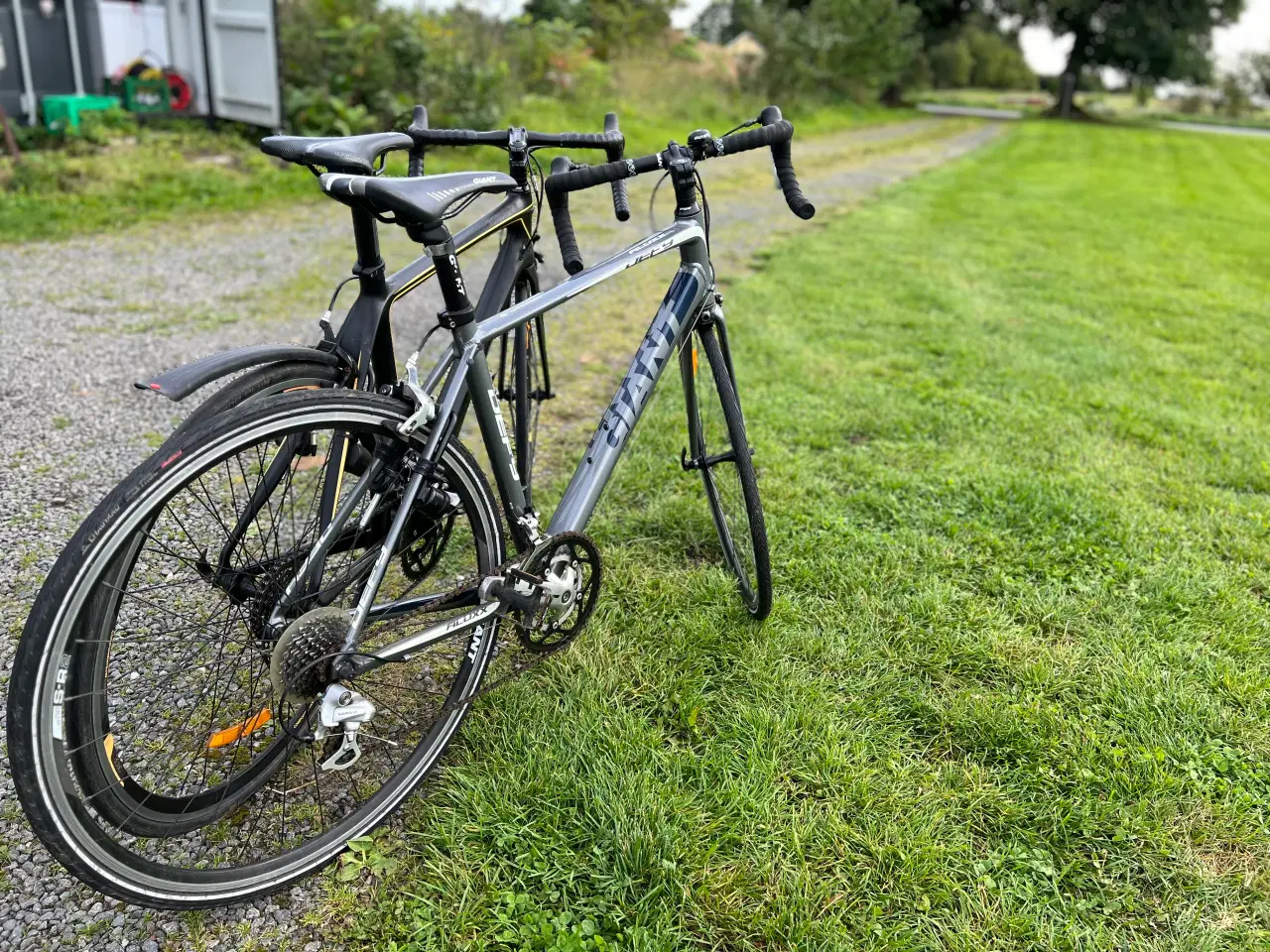 Billede 1 - To racercykler Giant og white Carbon næsten ubrugt