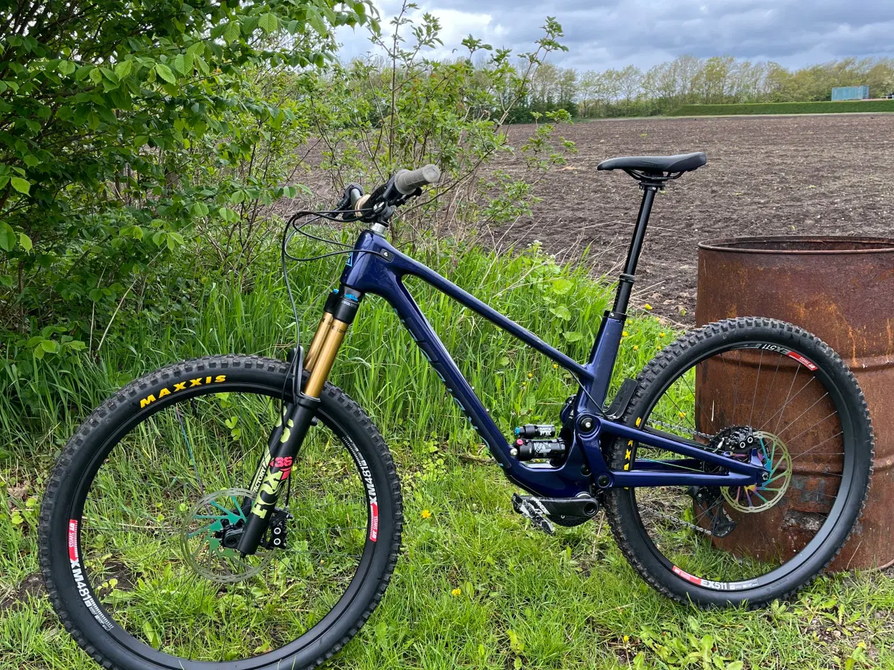 Billede 1 - Forbidden Druid 29 Large