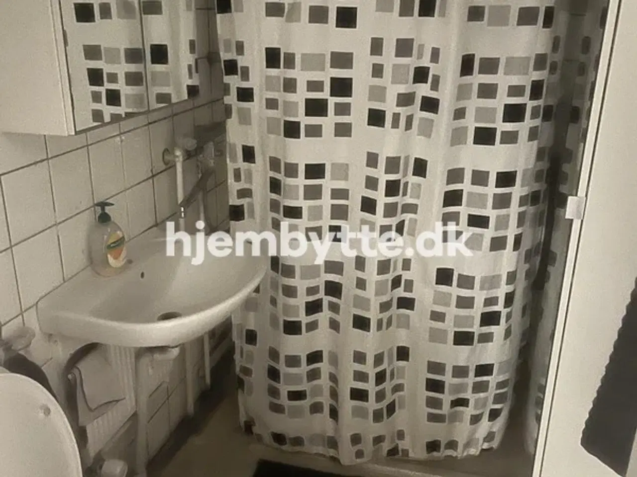 Billede 9 - Hjembytte - Grantofteparken