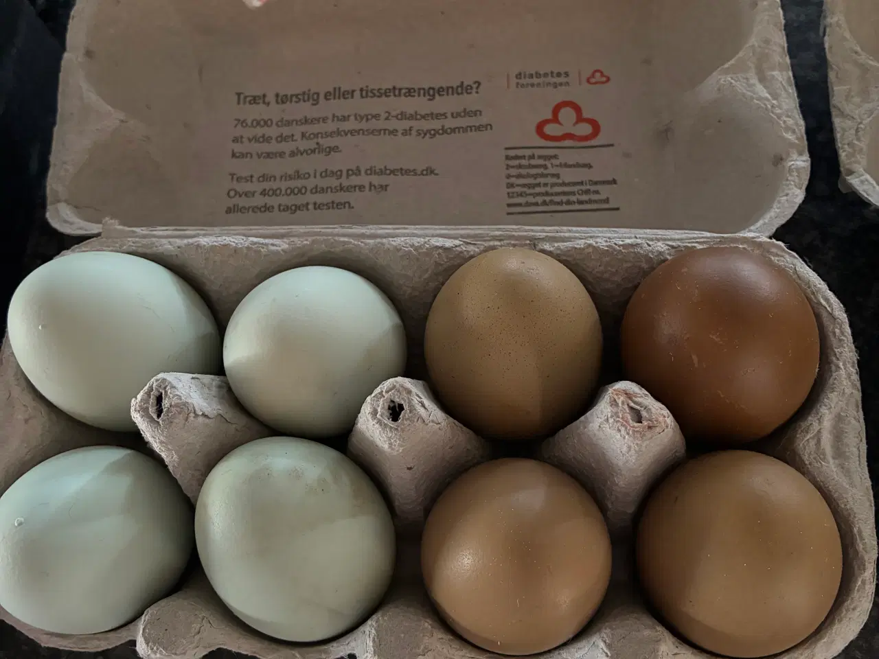 Billede 2 - Rugeæg grønlægger og olivenlægger