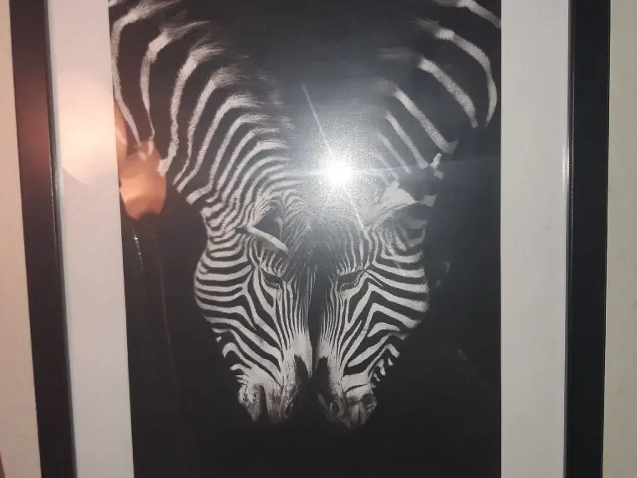 Billede 1 - Flotte zebra billede