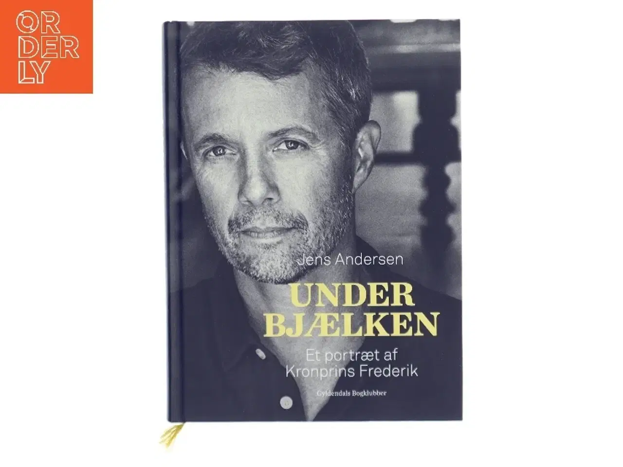 Billede 1 - Under bjælken : et portræt af Kronprins Frederik af Jens Andersen (f. 1955) (Bog)