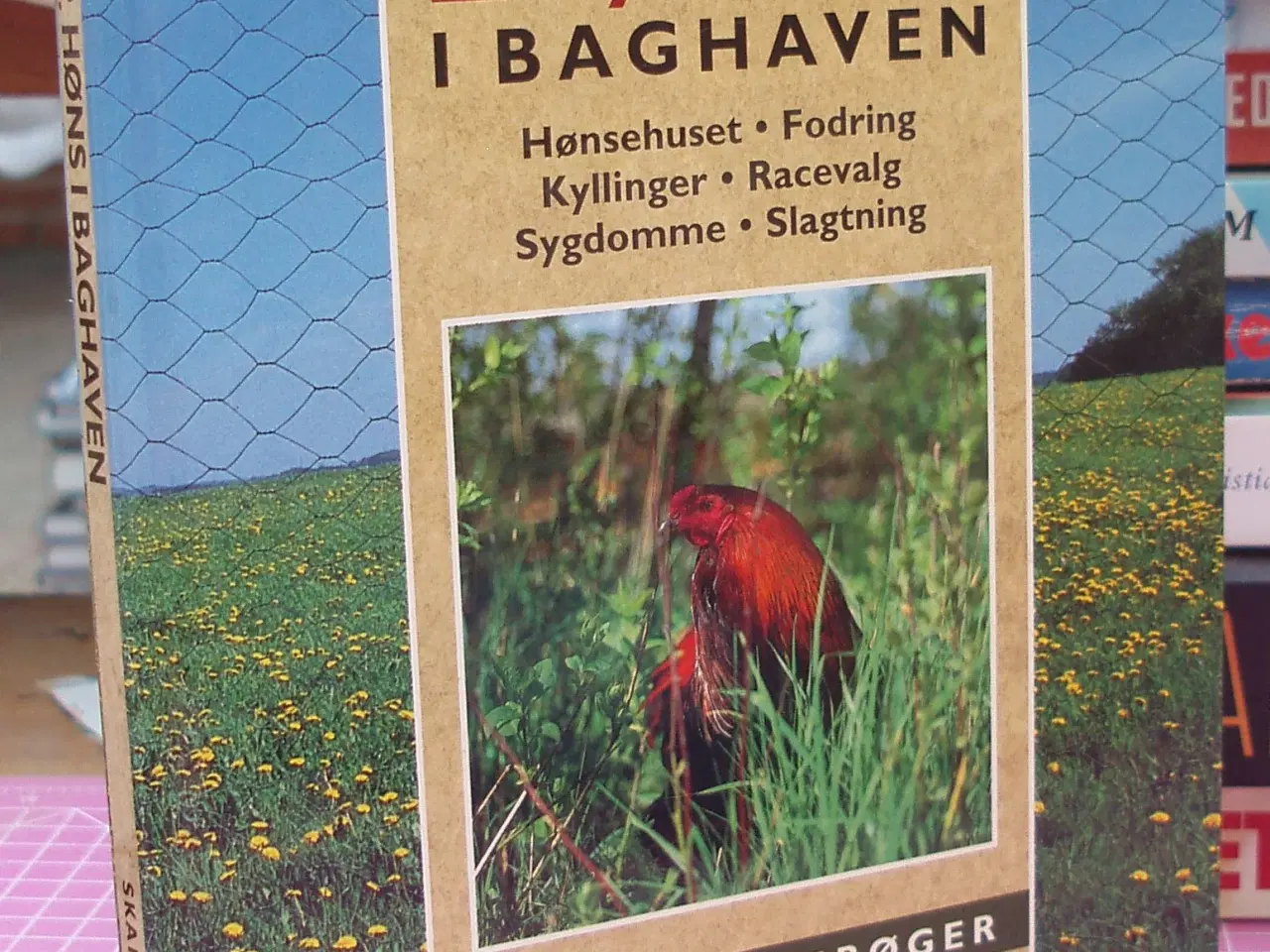 Billede 1 - Høns i baghaven af Steen Larsen