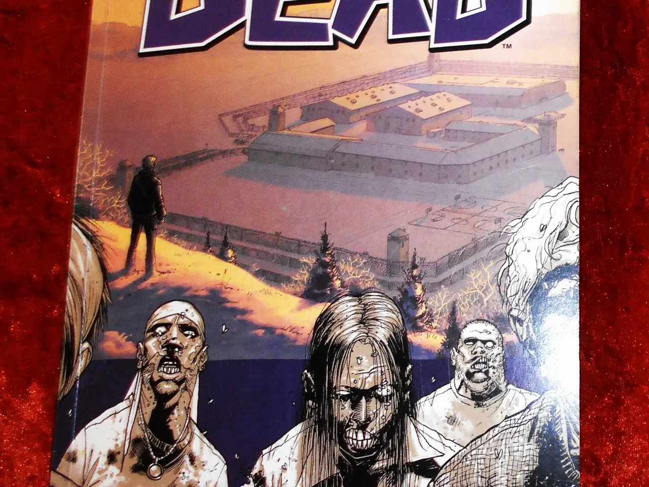 Billede 1 - The walking dead,  Robert Kirkman