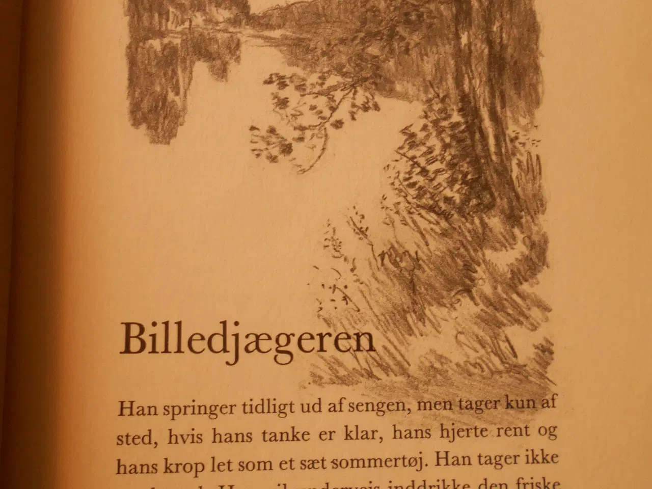 Billede 2 - Historier fra naturen, Jules Renard