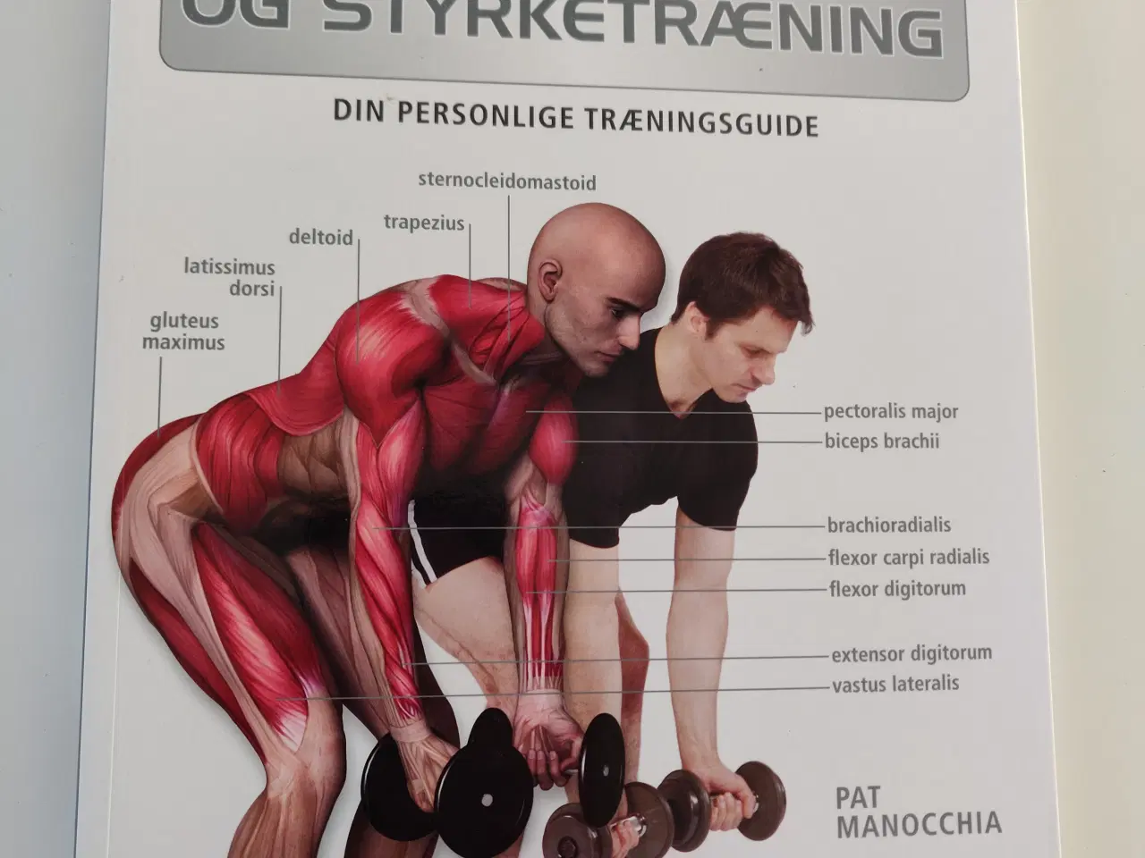 Billede 1 - Bog: Anatomi og styrketræning